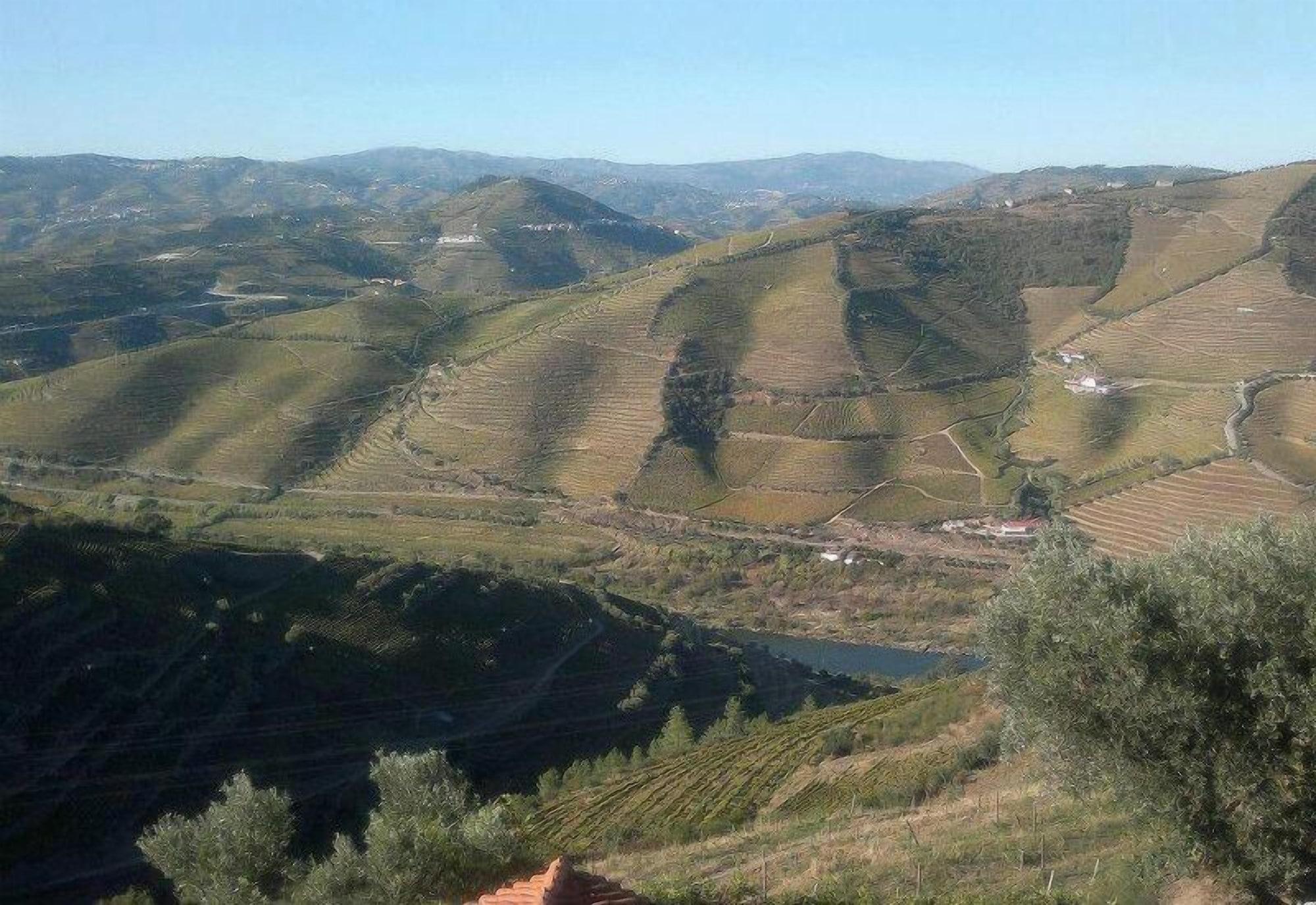 Quinta De Casaldronho Wine Hotel Lamego Εξωτερικό φωτογραφία